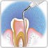 Endodontia